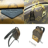 Louis Vuitton Monogram Reverse Palm Springs Backpack PM Rucksack