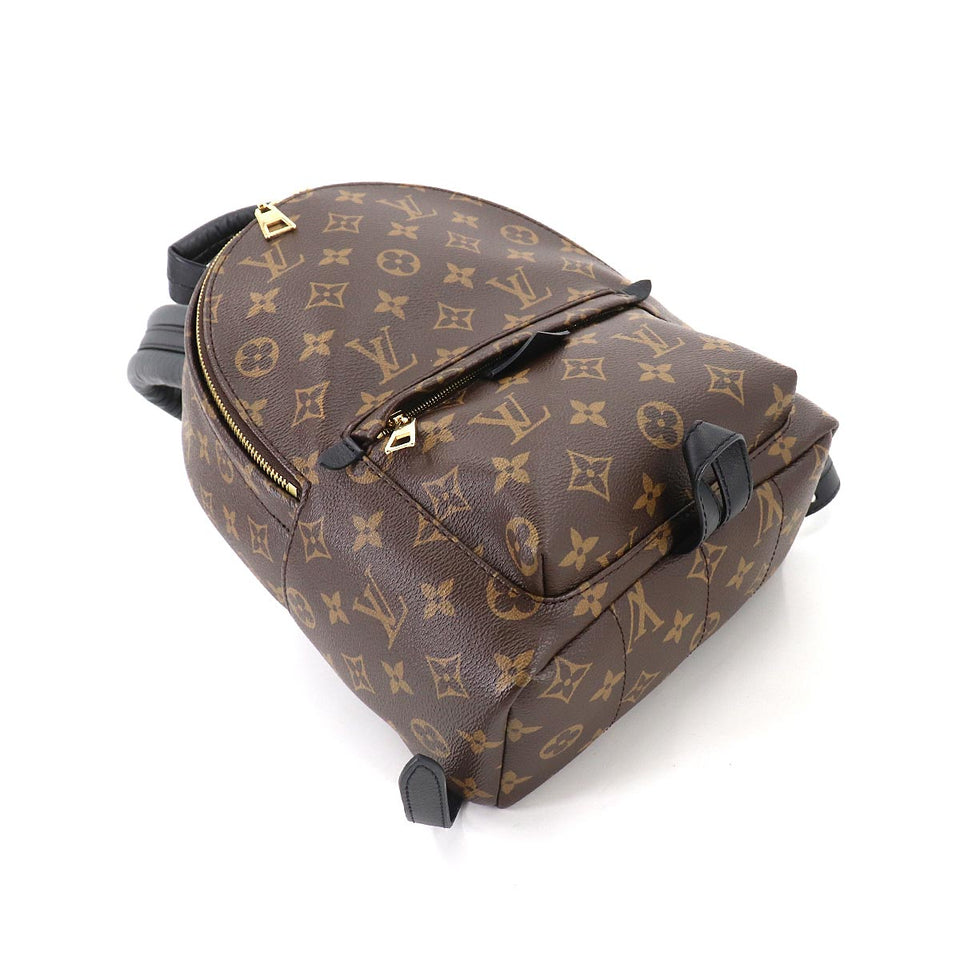 Louis Vuitton Monogram Palm Springs Backpack PM Backpack Brown
