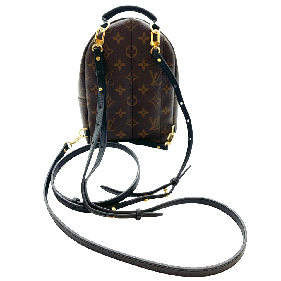 Backpack Luxury Designer By Louis Vuitton Size: Small