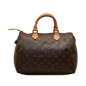 Louis Vuitton Monogram Boston Bag