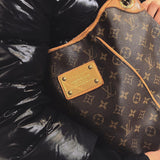 Louis Vuitton Galliera Bag TWS