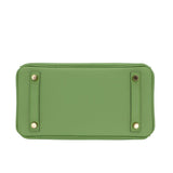 Hermes25cm Birkin Vert Criquet Swift Leather Gold Hardware