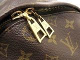 Louis Vuitton Bag Palm Spring MM Monogram