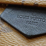 Louis Vuitton Monogram Reverse Palm Springs Backpack PM
