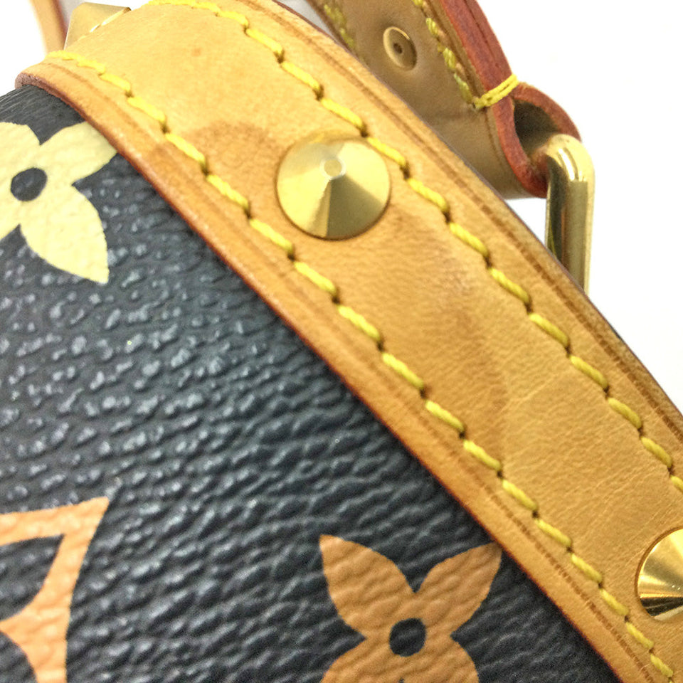 Louis Vuitton Sologne Monogram Multicolor Shoulder Bag