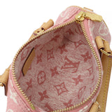 Louis Vuitton Monogram Denim Nano Speedy Handbag Mini Bag