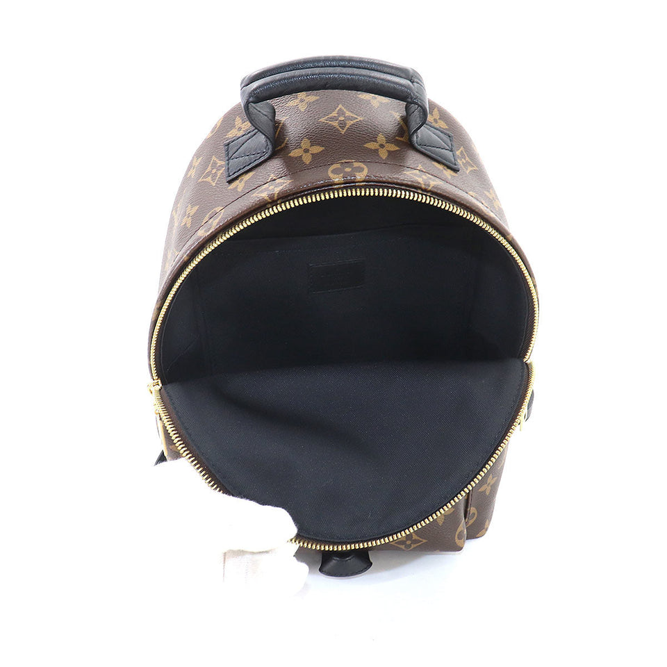 Louis Vuitton Monogram Palm Springs Backpack PM Backpack Brown