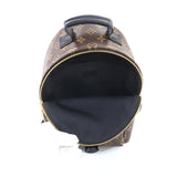 Louis Vuitton Monogram Palm Springs Backpack PM Backpack Brown
