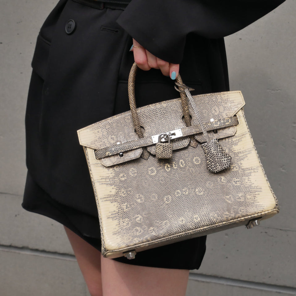 Hermes 2011 BIRKIN 25 Ombre Natural Lizard