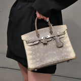Hermes 2011 BIRKIN 25 Ombre Natural Lizard