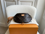 Louis Vuitton Bumbag in Monogram Canvas