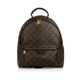 Louis Vuitton Palm Springs Backpack MM