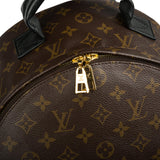 Louis Vuitton Palm Springs Backpack MM
