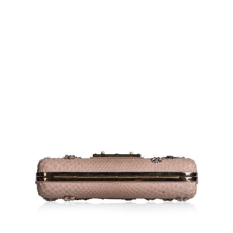 Louis Vuitton Minaudiere Python Clutch
