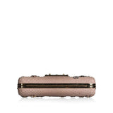 Louis Vuitton Minaudiere Python Clutch