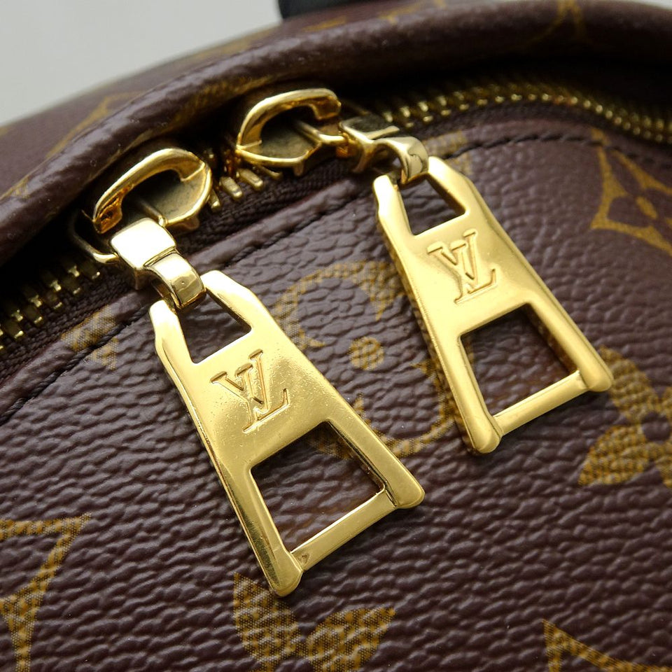 Louis Vuitton Monogram Palm Springs MM Backpack Brown