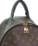 Louis Vuitton Backpack Rucksack