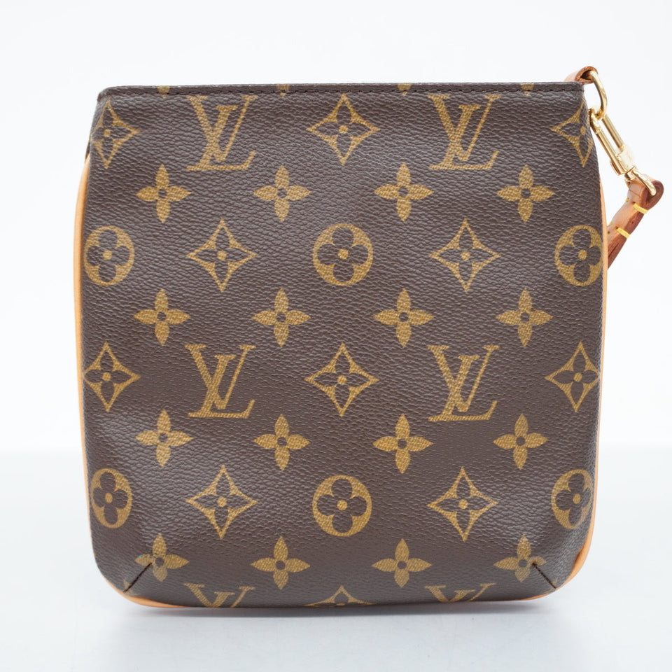 Louis Vuitton Pouch Monogram Particion