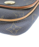Louis Vuitton Handbag Shoulder Bag