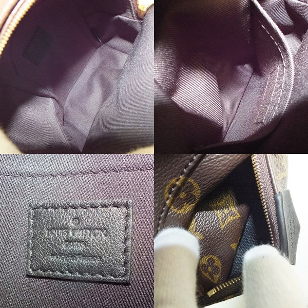 Louis Vuitton Monogram Palm Springs Backpack Mini Rucksack