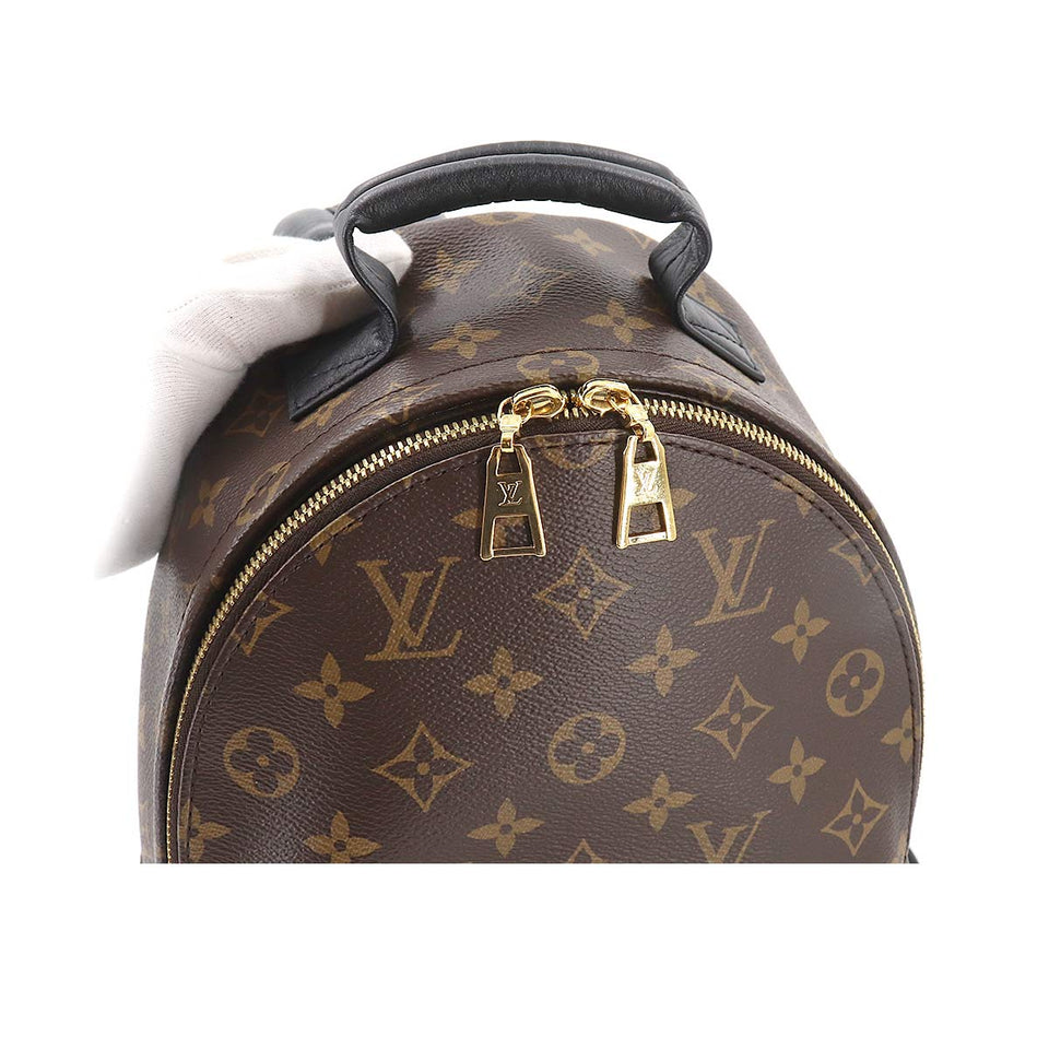 Louis Vuitton Monogram Palm Springs Backpack PM Backpack Brown