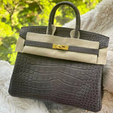Hermes Birkin 25 Leather Gold Hardware Handbag Bag for Women (Grey Shine)