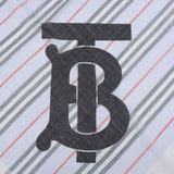 Luxury Burberry Scarves
