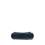 Louis Vuitton Monogram Mat Alston Shoulder Bag