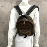 Louis Vuitton Rucksack Palm Springs Backpack PM Monogram Brown