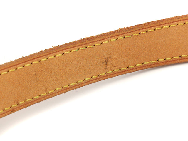 Louis Vuitton Cite GM Monogram