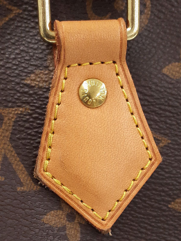 Louis Vuitton Monogram Speedy 25 Handbag Brown