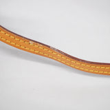Louis Vuitton Monogram Nano Turenne Shoulder Bag