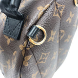 Louis Vuitton Palm Springs Mini Backpack Daypack