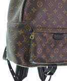 Louis Vuitton Backpack Rucksack