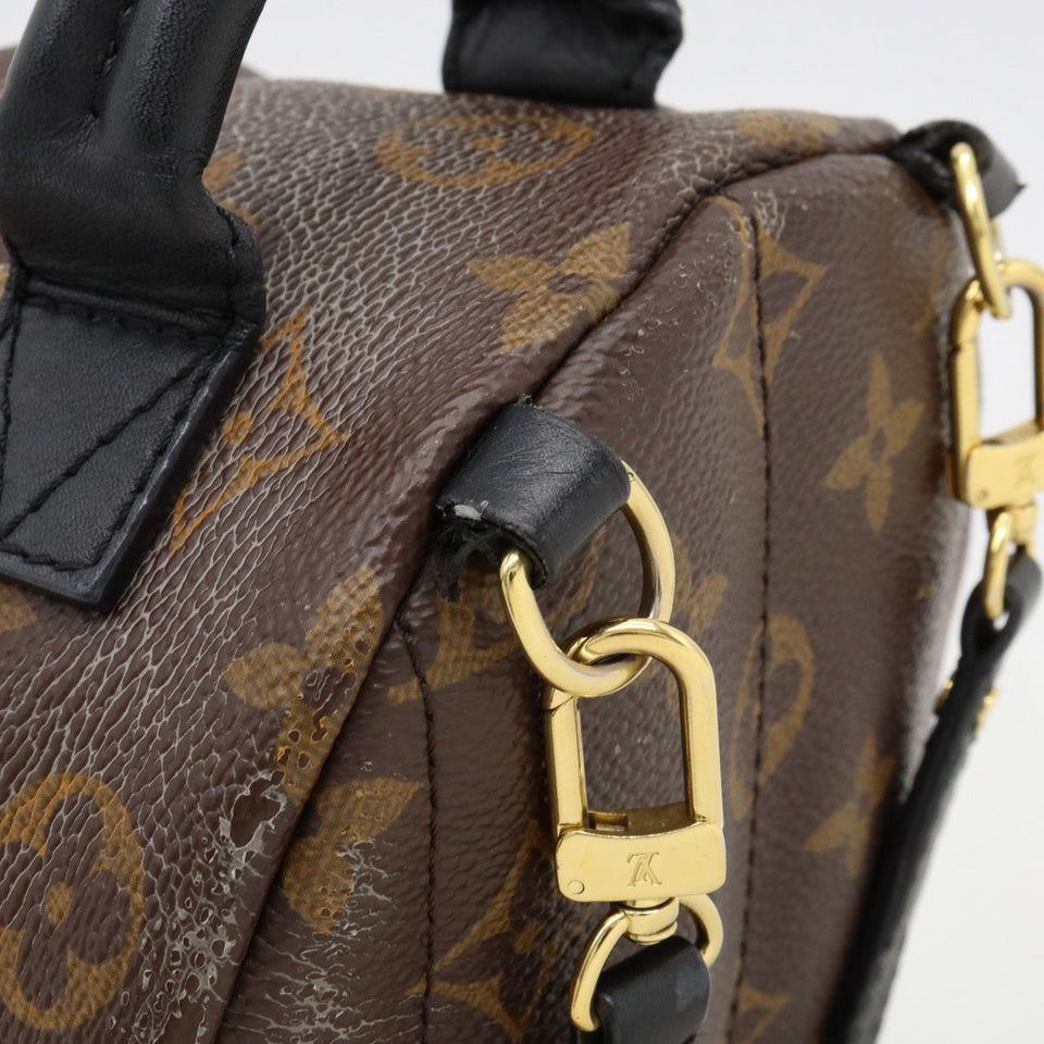 Louis Vuitton Monogram Palm Springs Backpack Mini Rucksack Leather Black