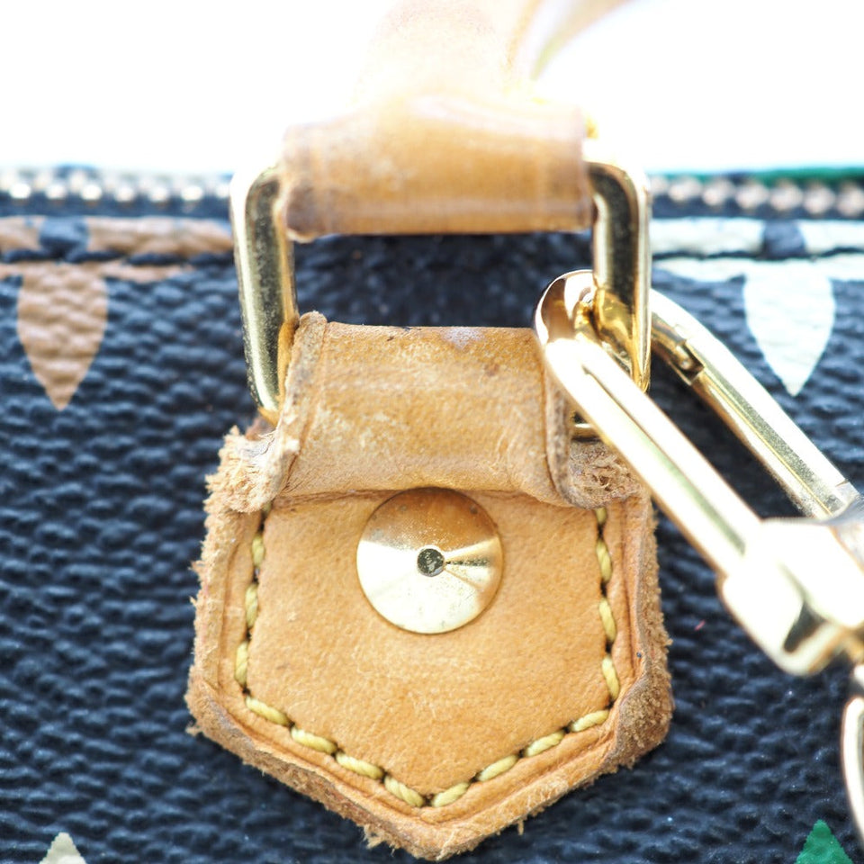 Louis Vuitton Mini Speedy Mini Boston Bag Monogram Multicolor Handbag