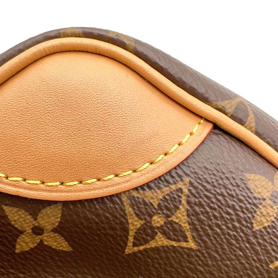 Louis Vuitton Shoulder Bag Monogram Odeon NM PM