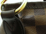 Louis Vuitton Delightful MM Damier Brown