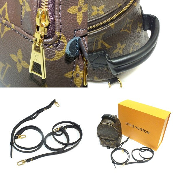 Louis Vuitton Monogram Palm Springs Backpack Mini Rucksack