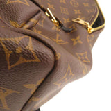 Louis Vuitton Backpack Palm Springs Backpack MM