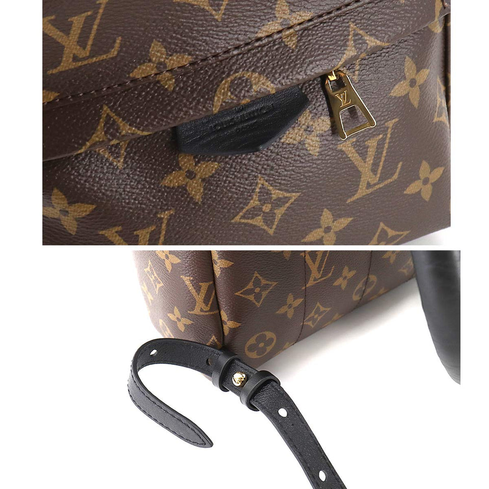 Louis Vuitton Monogram Palm Springs Backpack PM Backpack Brown