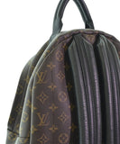 Louis Vuitton Backpack Rucksack