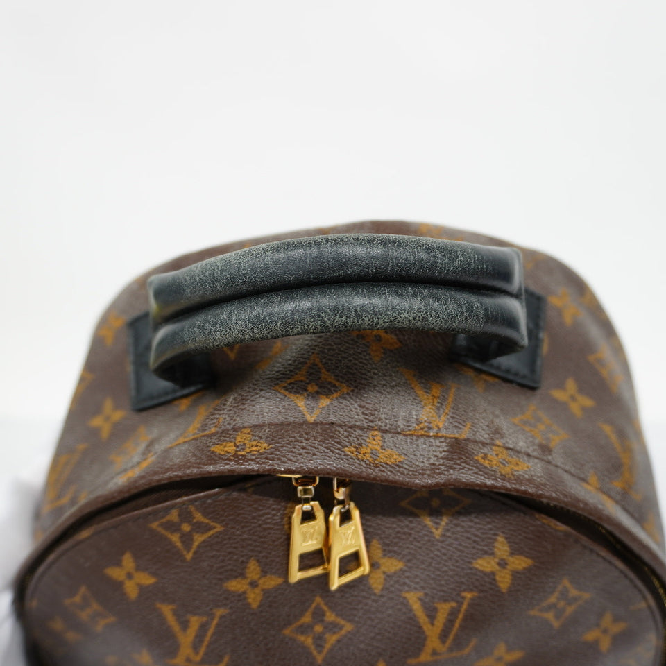 Louis Vuitton Rucksack Monogram Palm Spring MM