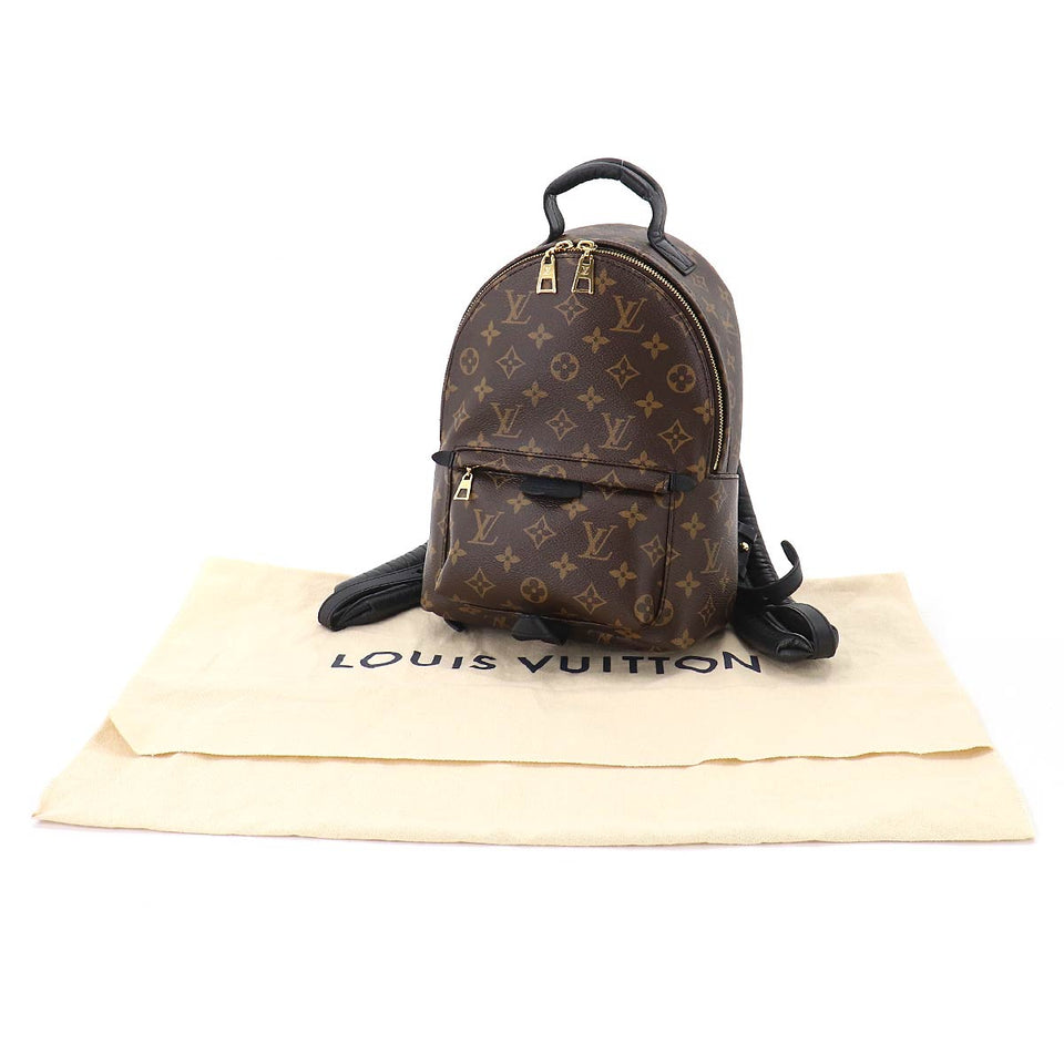 Louis Vuitton Monogram Palm Springs Backpack PM Backpack Brown