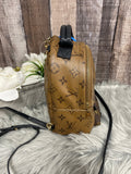 Backpack Luxury Designer By Louis Vuitton Size: Small