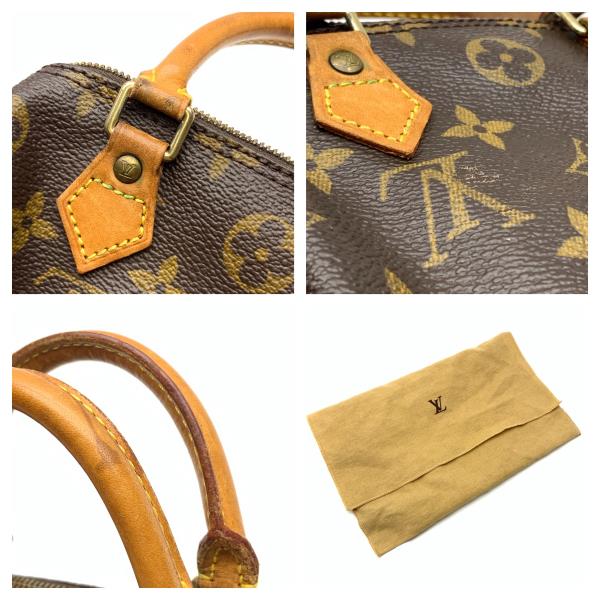 Louis Vuitton Monogram Mini Speedy Handbag Shoulder Bag