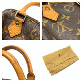 Louis Vuitton Monogram Mini Speedy Handbag Shoulder Bag