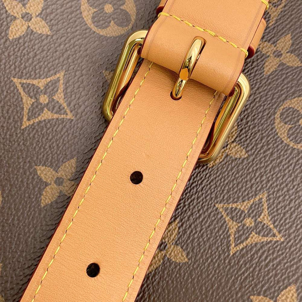 Louis Vuitton Shoulder Bag Monogram Odeon NM PM
