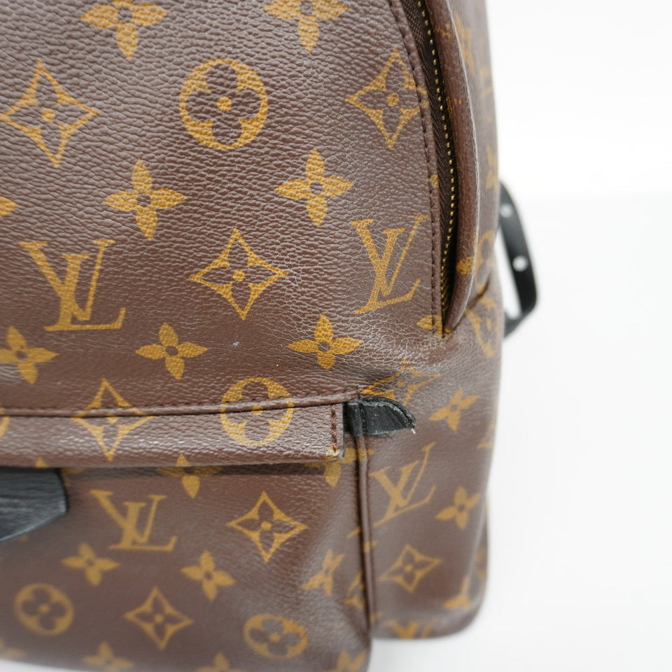 Louis Vuitton Rucksack Monogram Palm Spring MM