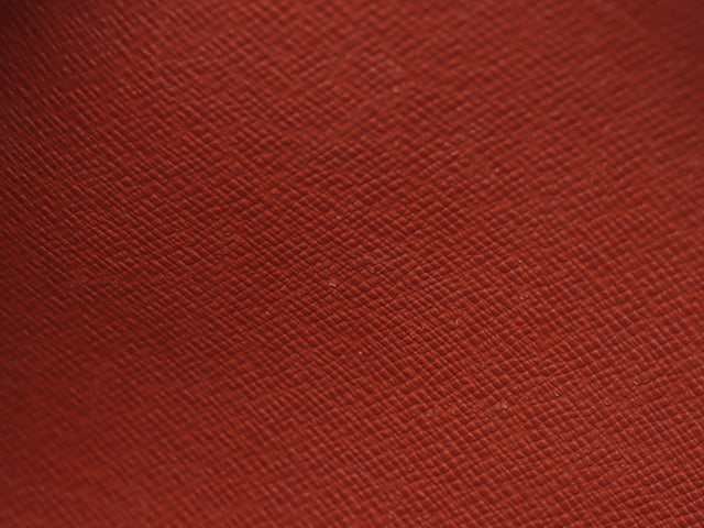 Louis Vuitton Handbag Papillon GM Damier